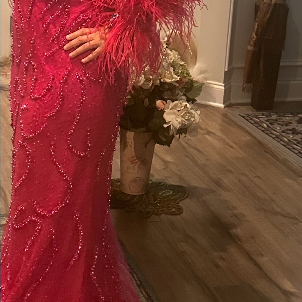 Elegant hot pink Feathered Gowned - Picture 5 of 8